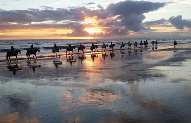 Paseo a caballo al atardecer por Doñana - Foto 3