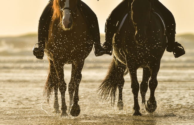 Doñana National Park Sunset Horse Ride - Photo 6