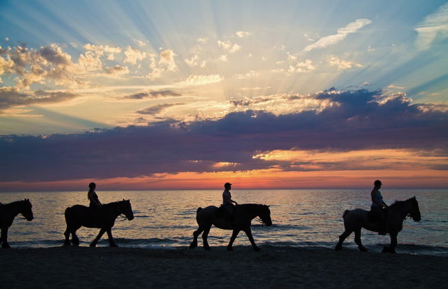 Doñana National Park Sunset Horse Ride - Photo 7