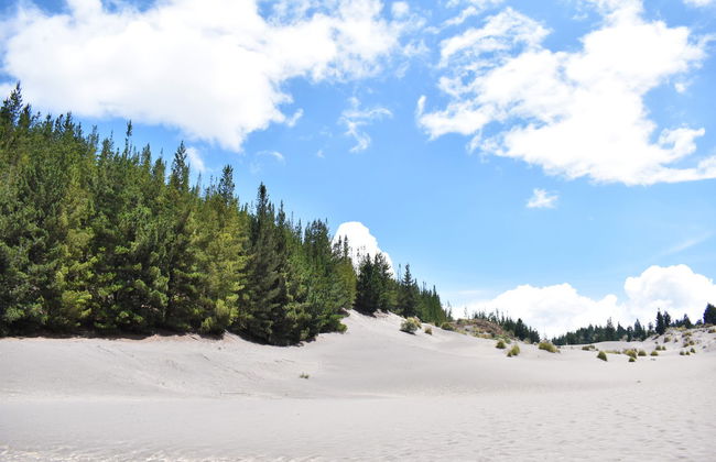 Excursão ao deserto de Palmira e lagoas de Altillo - Foto 6