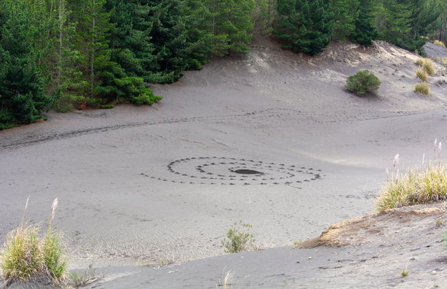 Excursão ao deserto de Palmira e lagoas de Altillo - Foto 1
