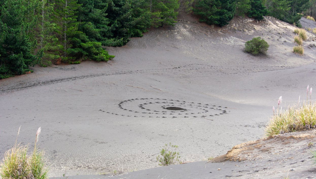 Excursão ao deserto de Palmira e lagoas de Altillo - Foto 1