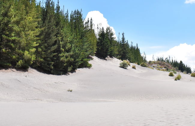 Excursion au désert de Palmira et aux lagunes d'Altillo - Photo 5