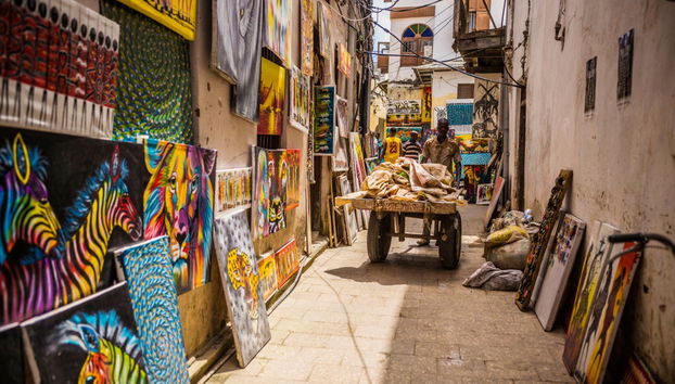 Visita guidata privata di Stone Town - Foto 4