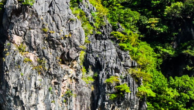 James Bond Island & Hong Island Cruise - Photo 5