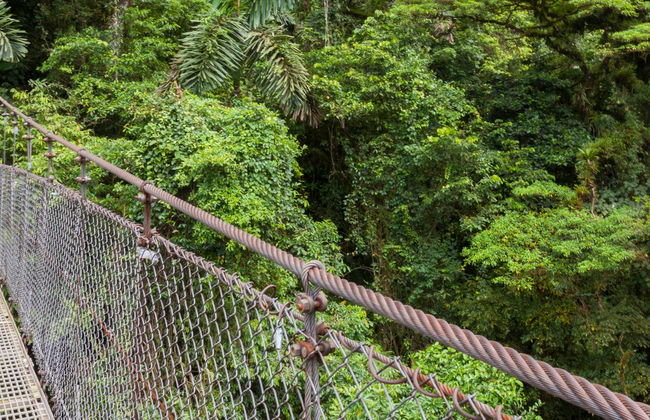 Billet pour le Mistico Arenal Hanging Bridges Park - Photo 7