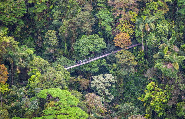 Billet pour le Mistico Arenal Hanging Bridges Park - Photo 2