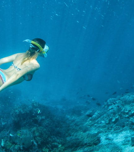 Foto de Snorkel en las bahías de Huatulco