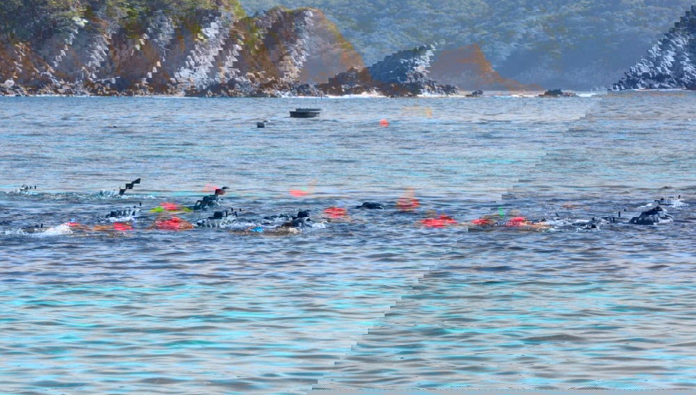 Snorkel en las bahías de Huatulco - Foto 1