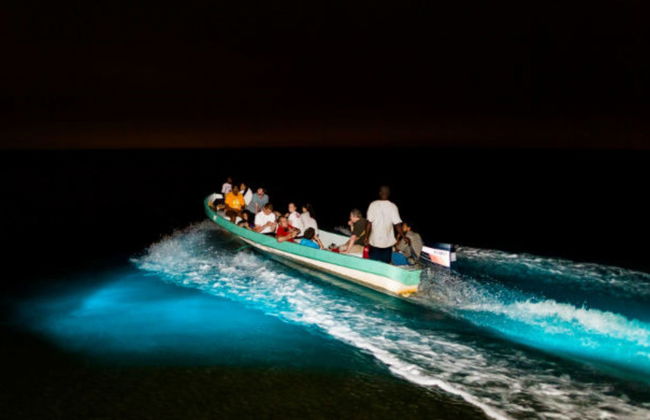 Tour nocturno por la Laguna de Manialtepec - Foto 2