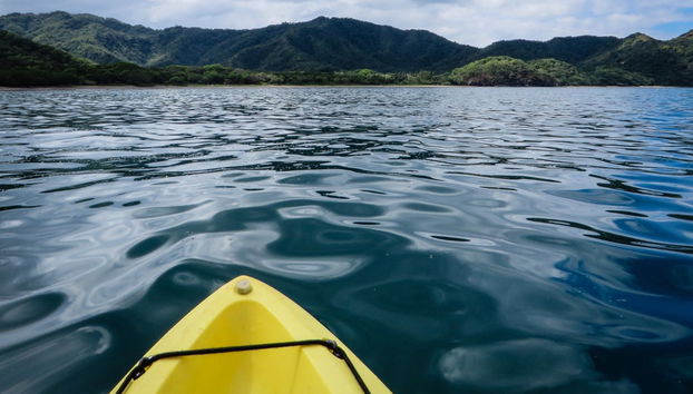 Tour de caiaque ou barco pela Isla Damas - Foto 2