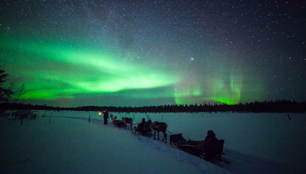 Passeio noturno de trenó de renas - Foto 3