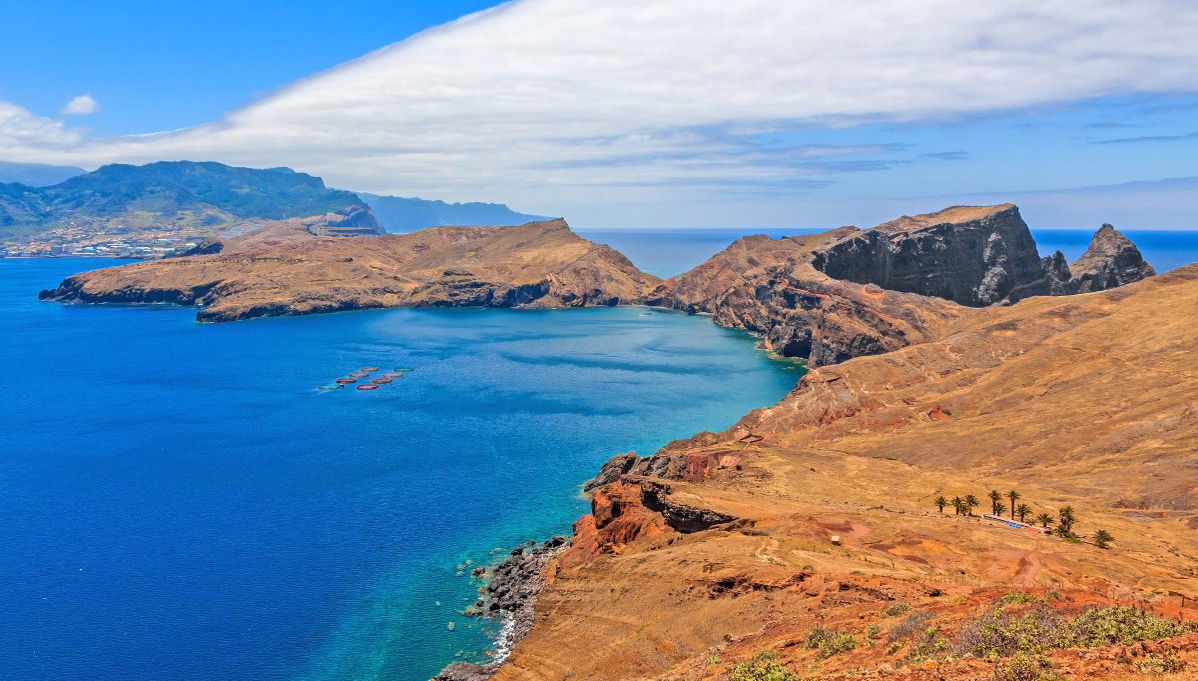 Madeira Bays Boat Ride - Foto 1