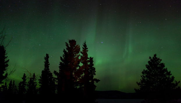 Whitehorse Northern Lights Tour - Foto 3