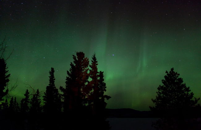 Whitehorse Northern Lights Tour - Photo 3