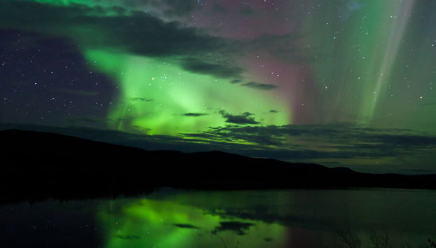 Whitehorse Northern Lights Tour - Foto 5