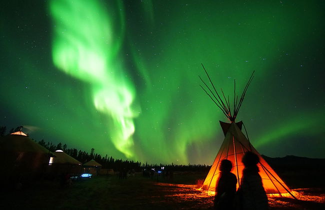 Whitehorse Northern Lights Tour - Photo 4