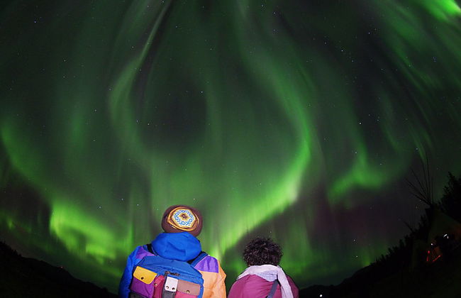 Whitehorse Northern Lights Tour - Photo 1