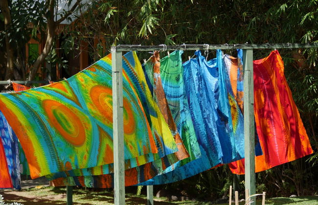 Saint Kitts Island Tour - Photo 4