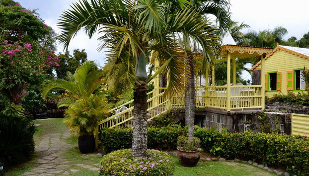 Saint Kitts Island Tour - Photo 5