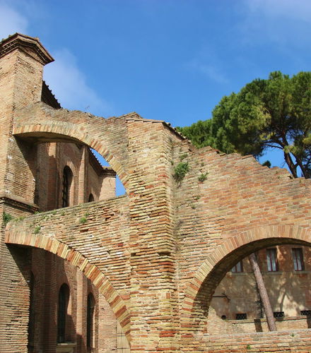 Foto - Tour privato di Ravenna