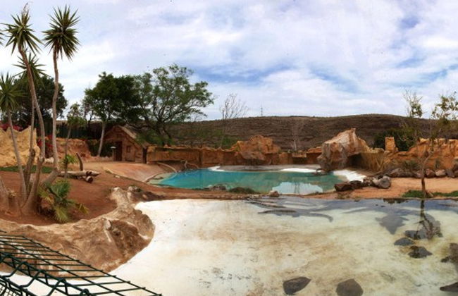 Cocodrilo Park Gran Canaria Ticket - Foto 2