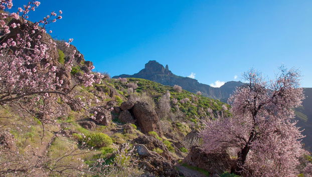 Gran Canaria Total Tour - Photo 2