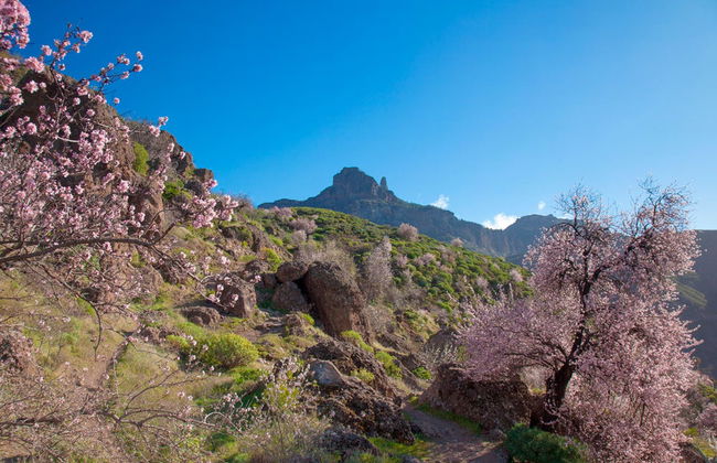 Tour completo di Gran Canaria - Foto 2