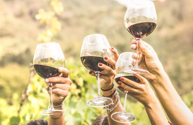 Bélesta Vineyards Hiking Activity - Photo 6