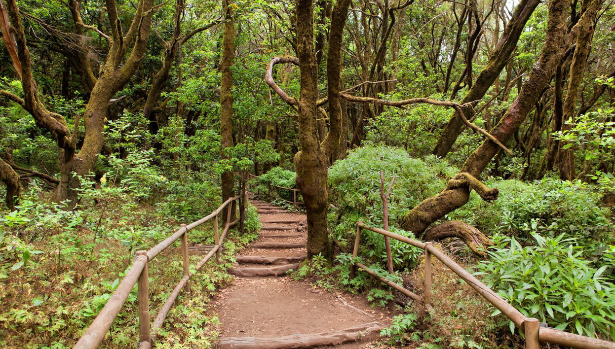 La Gomera Island Day Trip - Foto 1