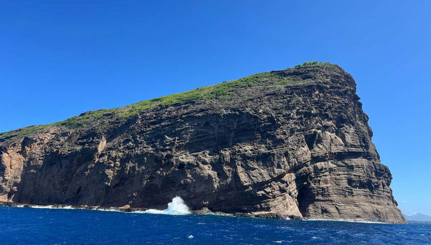 Excursión a Isla Gabriel en catamarán - Foto 5