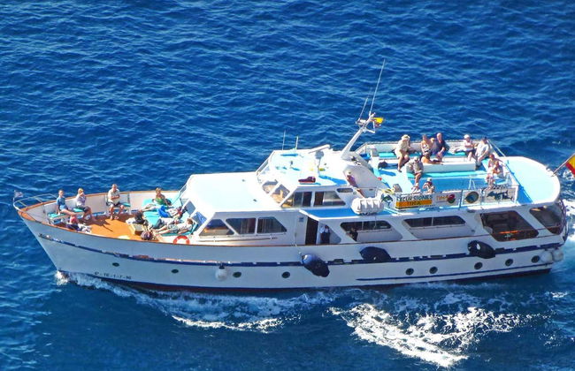 Whale + Dolphin Watching in La Gomera - Foto 1
