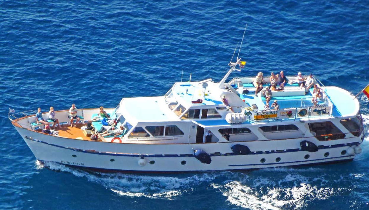 Whale + Dolphin Watching in La Gomera - Foto 1