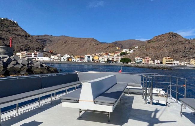 Avistamiento de delfines y ballenas en el sur de La Gomera - Foto 4