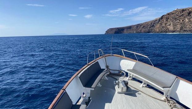 Whale + Dolphin Watching in La Gomera - Foto 2