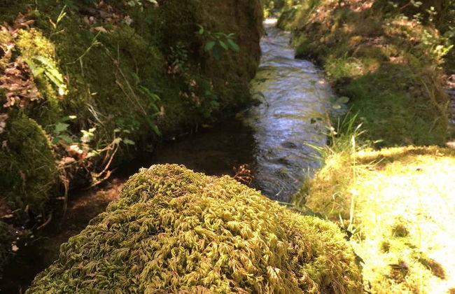 Randonnée aquatique à Sistelo - Photo 3