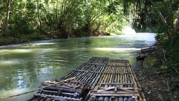 Passeio de jangada de bambu por Quimbaya - Foto 5