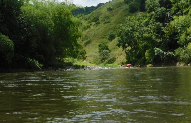 Passeio de jangada de bambu por Quimbaya - Foto 7