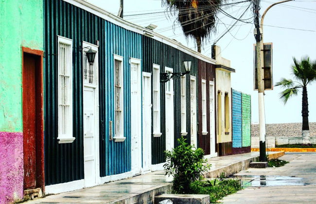 Food Tour and Salsa Class - Photo 2