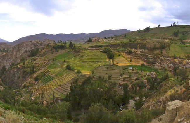 Excursão a Tarata e Ticaco - Foto 1