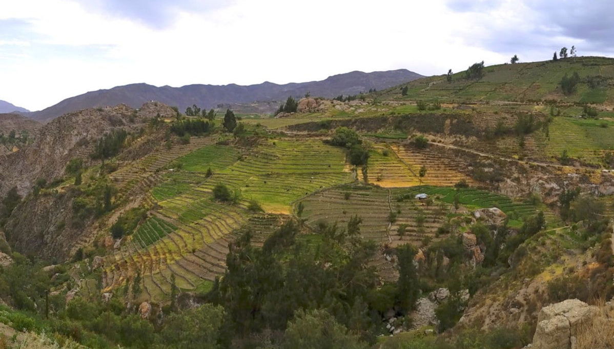 Escursione a Tarata e Ticaco - Foto 1
