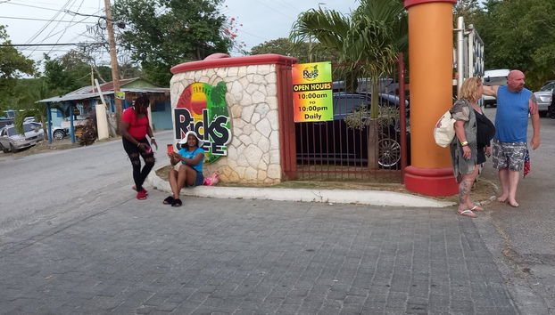 Excursión a Negril - Foto 5