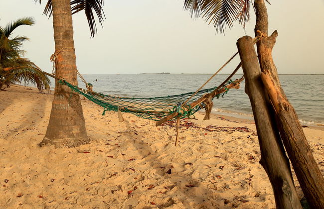 Tour de 10 días por la Petite-Côte y Casamanza - Foto 4