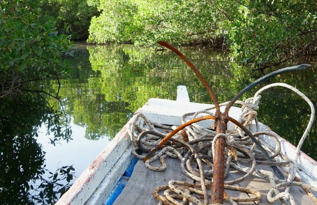Excursión privada al delta del Salum - Foto 3