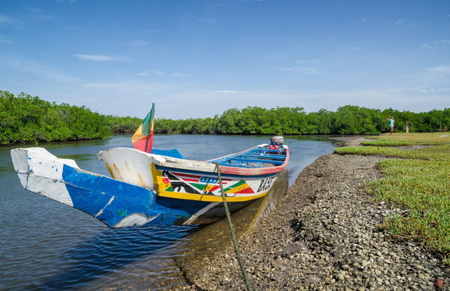 Excursión privada al delta del Salum - Foto 2