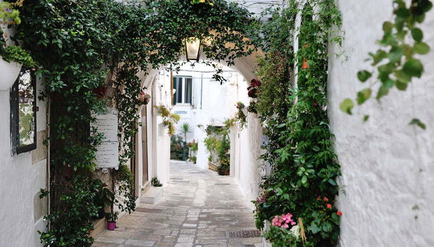 Excursión a Alberobello, Ostuni y Locorotondo - Foto 2