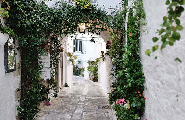 Itria Valley Villages Day Trip - Photo 2