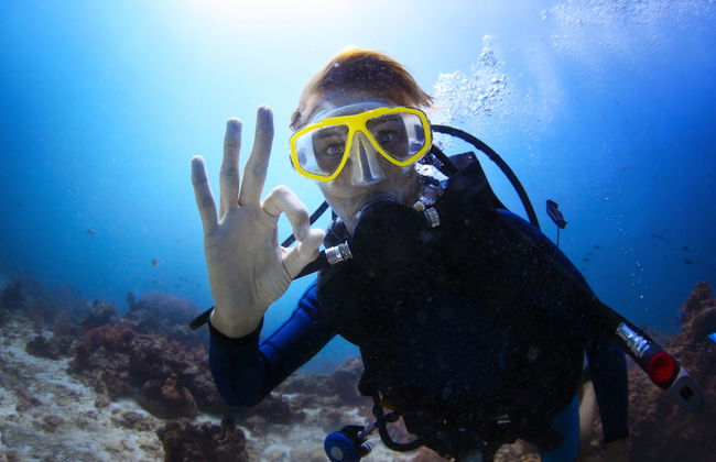 Immersione per principianti a Santa Pola - Foto 1