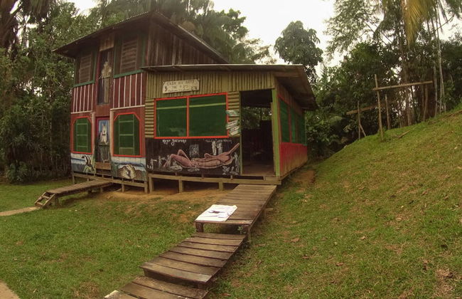 Excursion de 4 jours à Puerto Nariño et Mocagua - Photo 7