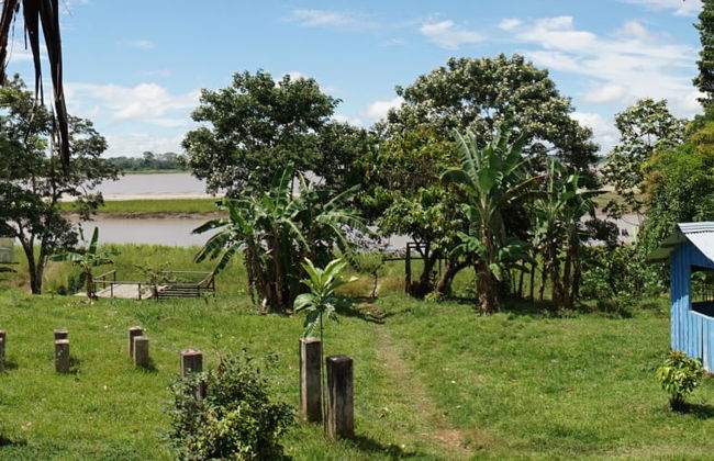 Excursion de 4 jours à Puerto Nariño et Mocagua - Photo 10